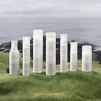 Paul Mitchell Awapuhi Hydromist Blow-Out Spray Styling Product 5.1 oz.