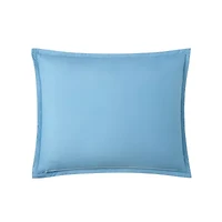 Forever 21 Floral Quilt Set