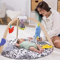 Melissa & Doug Ocean Easy-Fold Play Gym Play Mat