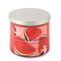Distant Lands 14oz Sparkling Watermelon 3-Wick Scented Jar Candle
