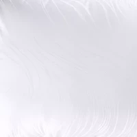 B. Smith Junoseque Jacquard 300 Thread Count Down Pillow