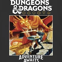 Dungeons & Dragons Little Big Kid Boys Crew Neck Short Sleeve Regular Fit Graphic T-Shirt