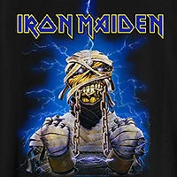 Novelty Mens Crew Neck Short Sleeve Classic Fit Big and Tall Graphic T-Shirt