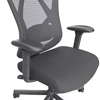 Office + Library Collection Adjustable Height Chair