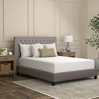 Sealy SoftComfort Mattress Protector