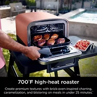 Ninja Woodfire 8-In-1 Outdoor Oven Gas Grill Oo101