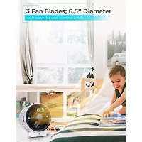 Black+Decker Dual Function Desktop Fan & Bhd406w Heater