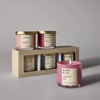 Distant Lands 4oz Fruity 3-pc. Jar Candle