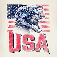 Carter's Americana Little & Big Kid Boys Round Neck Short Sleeve Flag Regular Fit Graphic T-Shirt