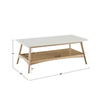 Madison Park Avalon Living Room Collection Storage Coffee Table
