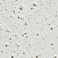 Paul Mitchell Extra- Body Shampoo 33.8 oz.