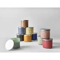 Distant Lands 14oz Sage Eucalyptus 3-Wick Scented Jar Candle