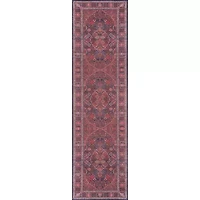Momeni Afshar 10 Indoor Rectangular Accent Rug