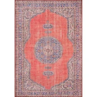 Momeni Afshar 12 Medallion Indoor Rectangular Accent Rug