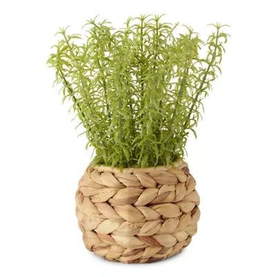 Linden Street 10" Potted Water Hyacinth Artificial Plant
