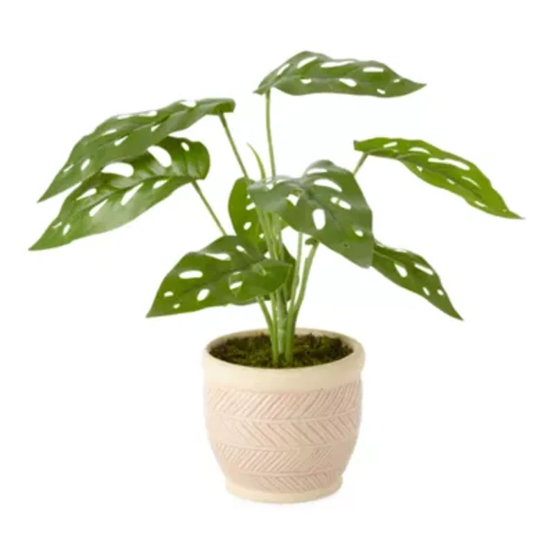 Distant Lands 11 In Monstera Artificial Plant