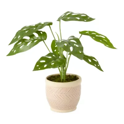 Distant Lands 11 In Monstera Artificial Plant