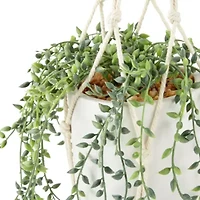 Distant Lands Hanging String Of Pearls Artificial Plant
