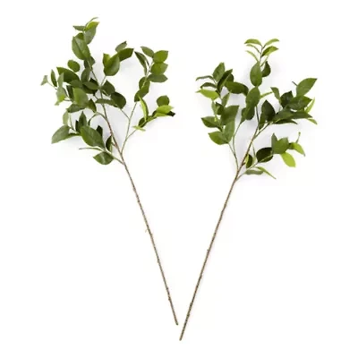 Linden Street 40" Lemmon Leaf 2-pc. Vase Filler