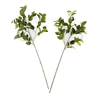Linden Street 40" Lemmon Leaf 2-pc. Vase Filler