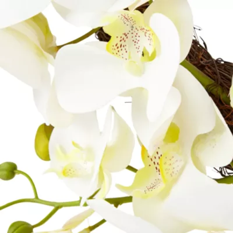 Linden Street 24" White Orchid Wreath