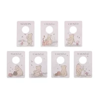 Disney Winnie The Pooh Hanging Organizer