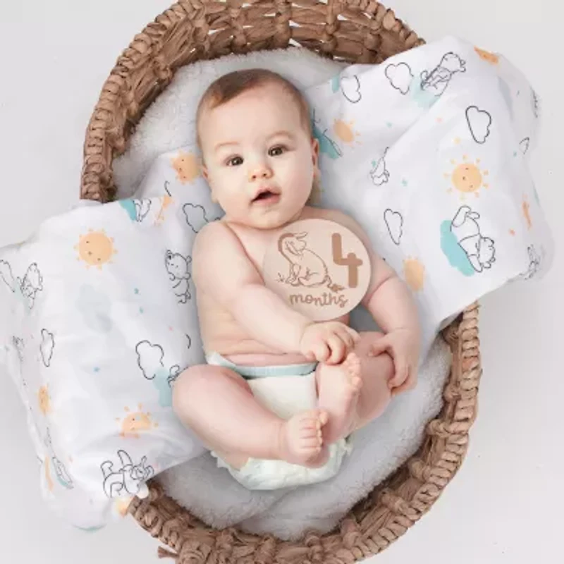 Disney Unisex Baby Milestones