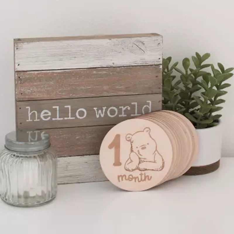 Disney Unisex Baby Milestones