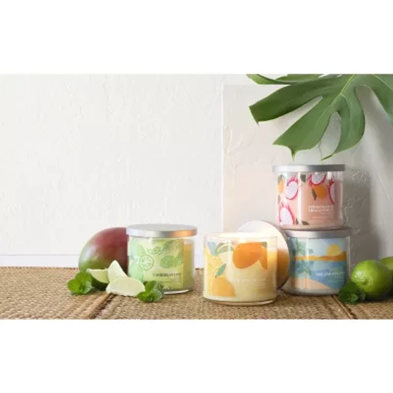 Distant Lands 14 Oz Dreamy Coconut 3-Wick Scented Jar Candle