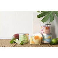 Distant Lands 14 Oz Dreamy Coconut 3-Wick Scented Jar Candle