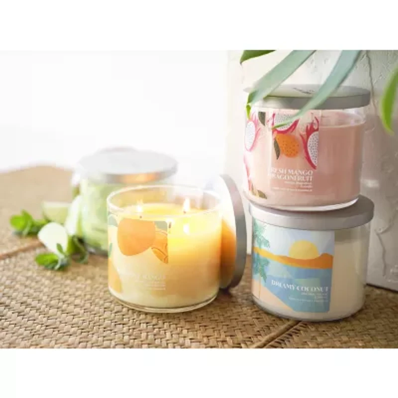 Distant Lands 14 Oz Dreamy Coconut 3-Wick Scented Jar Candle