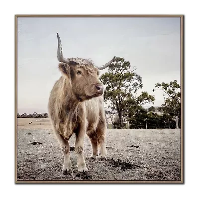 Streamline Art Countryside Highland Framed Canvas Art
