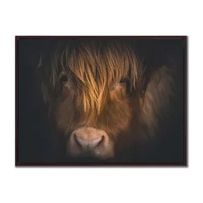 Streamline Art Highland Focus Framed Canvas Art