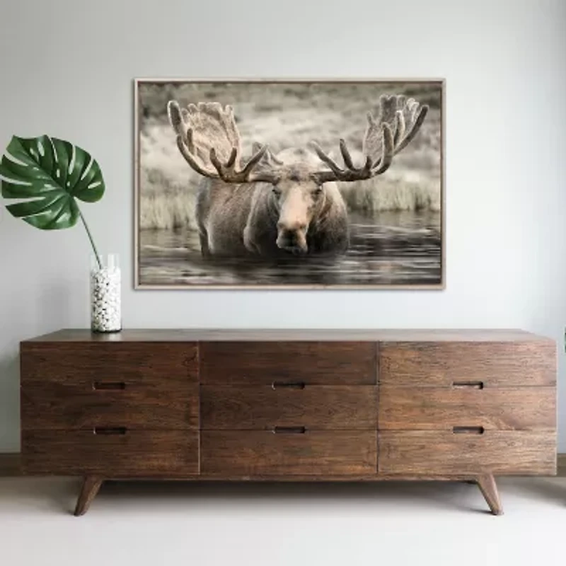 Streamline Art Moose Hot Springs Framed Canvas Art