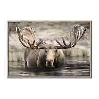 Streamline Art Moose Hot Springs Framed Canvas Art