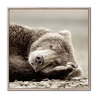 Streamline Art Sleeping Bear Framed Canvas Art