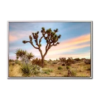 Streamline Art Joshua Tree Sunrise Framed Canvas Art