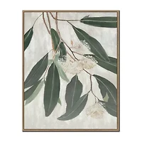 Streamline Art Eucalyptus Blossoms Ii Framed Canvas Art