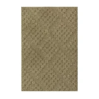 Maples Textured Solid Weave Indoor Rectangular Accent Rug