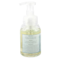 Distant Lands 8 oz. Aquamarine Foaming Hand Soap