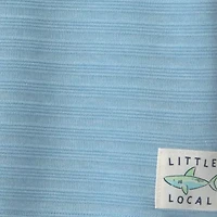 Carter's Toddler Boys 2-pc. Short Set