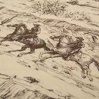 Donna Sharp Cowboy Cotton Shower Curtain