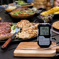 MAVERICK® Bbq Thermometers