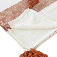Lr Home Bolly Stripe Washable Throw