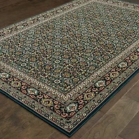 Covington Home Kerman Traditional Bordered Indoor Rectangular Area Rug