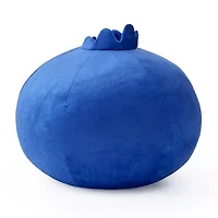 Forever 21 Blueberry Round Throw Pillow