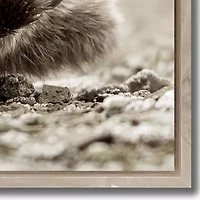 Streamline Art Sleeping Bear Framed Canvas Art