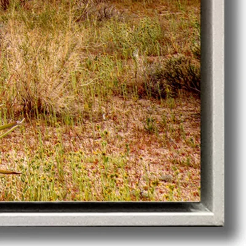Streamline Art Joshua Tree Sunrise Framed Canvas Art