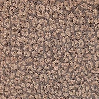 JUNK GYPSY Leopard Woven Blanket With Fringe Throw