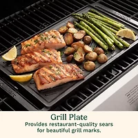 Cuisinart Outdoors Reversible Cast Iron Plate Grill Pans